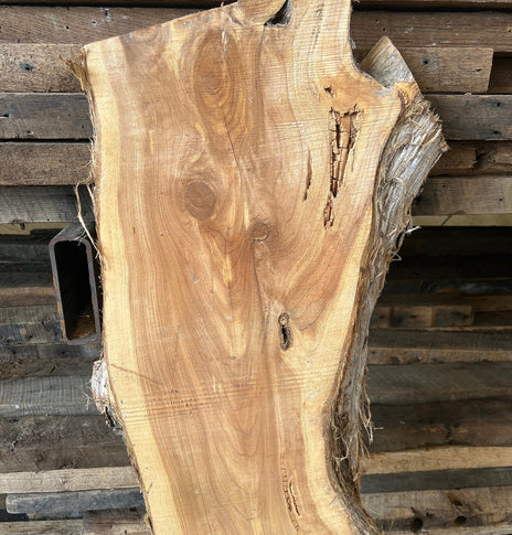 FREE SHIPPING - Large Live Edge Wood Slabs, Rough Edge Red Cedar Slab, Live Edge Slab, Live Edge Crafting Slabs, DIY Cedar Coffee Table Slab