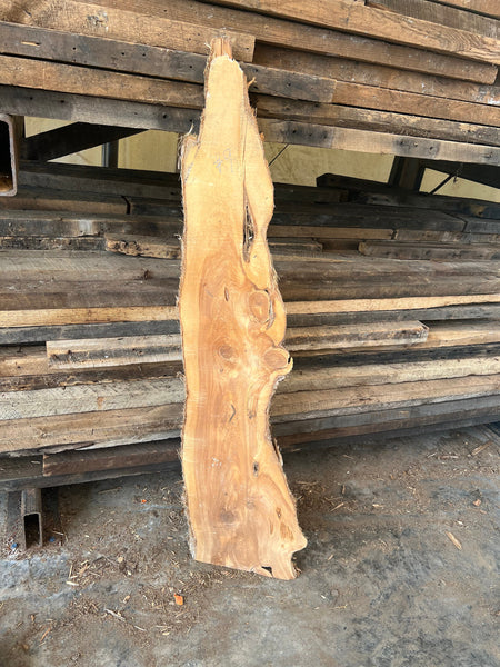 Catalpa Wood Slab, Live Edge Slab, Figured Catalpa Wood Slabs, DIY