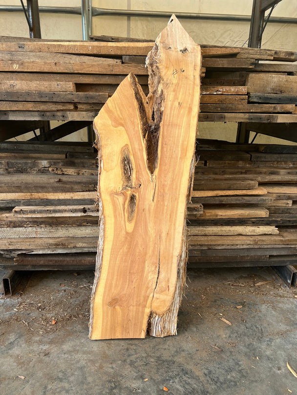 Red Cedar Slab, Live Edge Slab, Raw Cedar Halves, Large Live Edge Wood –  Strong Oaks Woodshop