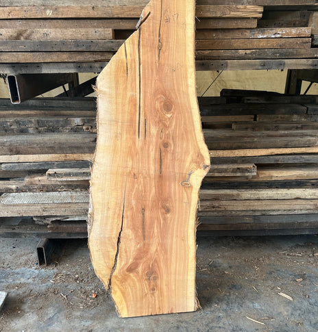 3-12ft Cedar Slabs FINISHED Ready to Install Red Cedar Bar Top Slabs With  Resin Any Size 