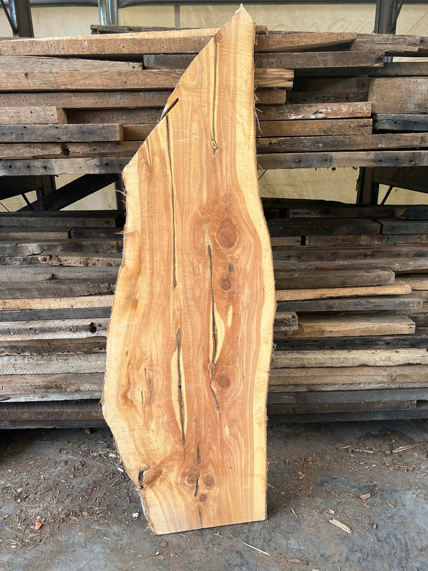 FREE SHIPPING - Large Live Edge Wood Slabs, Rough Edge Red Cedar